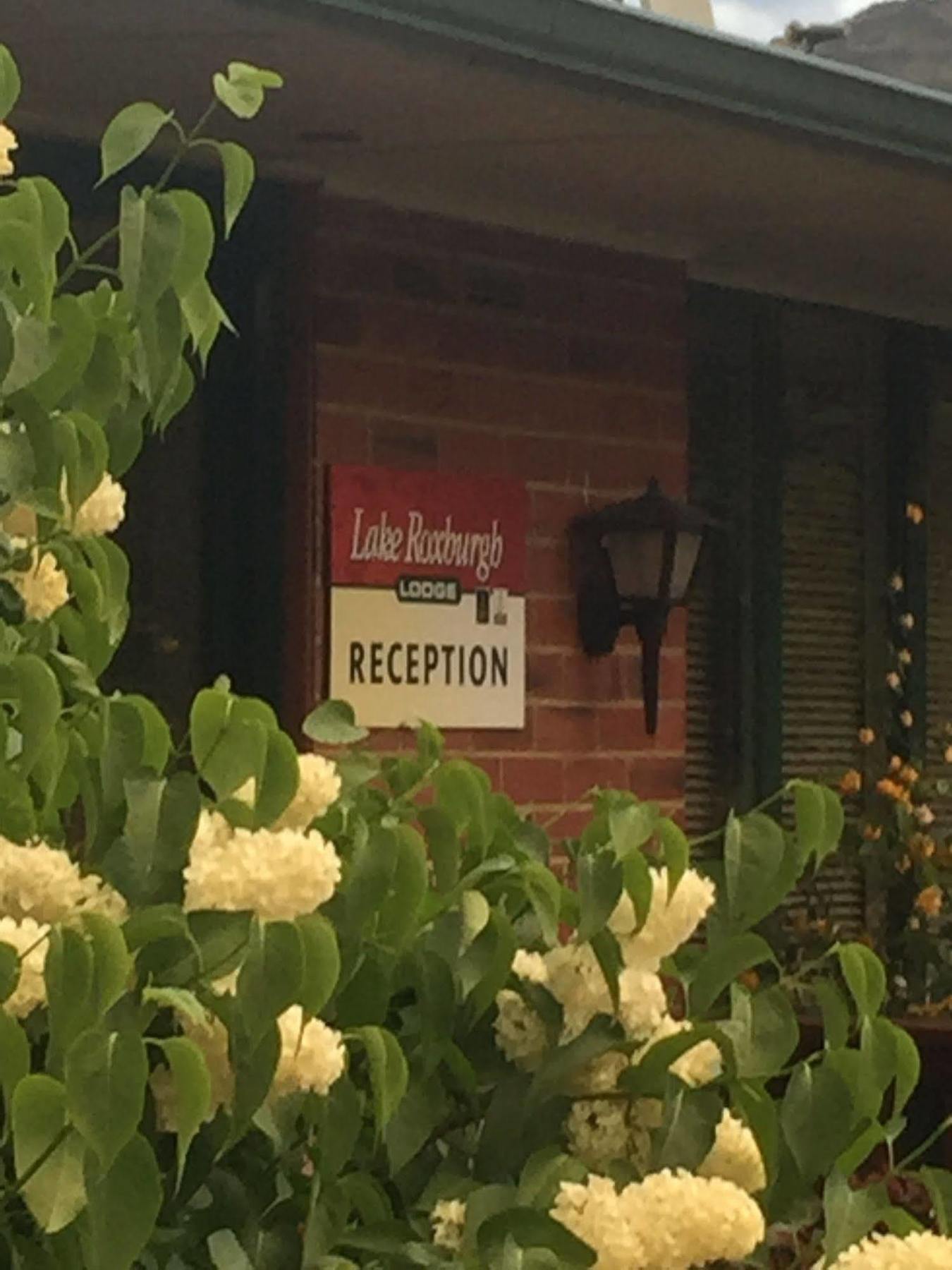 Lake Roxburgh Lodge Buitenkant foto
